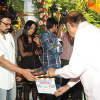 Venky and Trisha New Movie Launch Stilss | Picture 33954